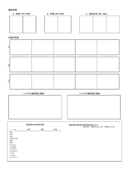 症例資料フォーマットB