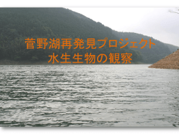 菅野湖生き物探検