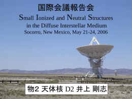 国際会議成果報告会 Small Ionized and Neutral Structures in the