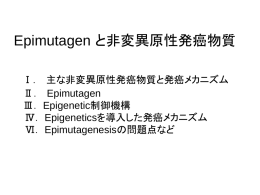 Epimutagen と非変異原性発癌物質
