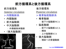 「classification_of_cerebral_arteries1」をダウンロード