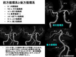 「classification_of_cerebral_arteries_2」をダウンロード