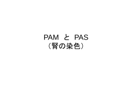 PAM染色