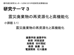 3-1-2010UDM報告会PPT(阿部)