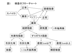 画像ファイル2.3メガ