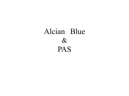 Alcian Blue PAS染色