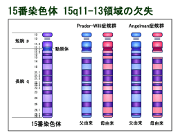 15q11-13領域の欠失