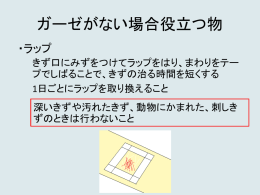 代用品のみ