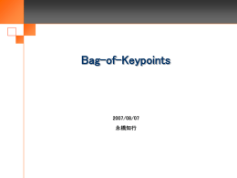 Bag-of-Keypoints