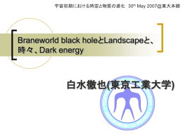 Braneworld Black HoleとDark Energy、そして