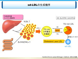 PowerPoint プレゼンテーション