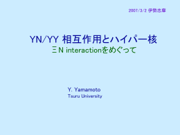 YN/YY相互作用とハイパー核