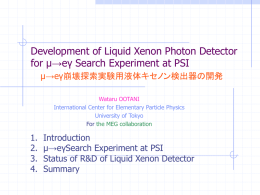 Development of Liquid Xenon Photon detector for μ→eγ search