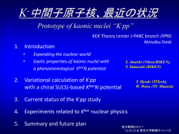K bar N - 東京大学駒場原子核理論研究室