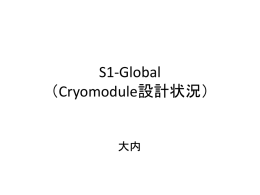 S1-Global *Cryomodule
