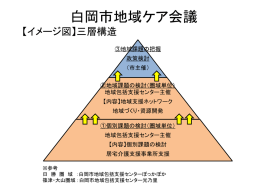 会議形式（三層構造）