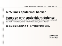 Nrf2は抗酸化防御と表皮バリア機能を結びつける