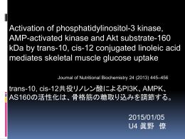 trans-10, cis-12共役リノレン酸によるPI3K、AMPK、AS160の活性化は