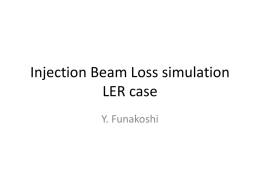 Injection Beam Loss simulation LER case