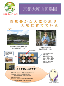 ここで買えるのです