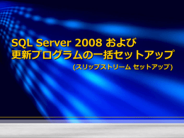 SQL Server 2008 スリップストリーム 機能