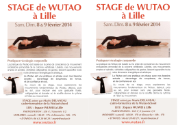 STAGE WUTAO LILLE A5 M.Delaneau:Layout 2