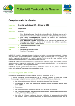 CT Guyane_CR Comité technique 060614_VF