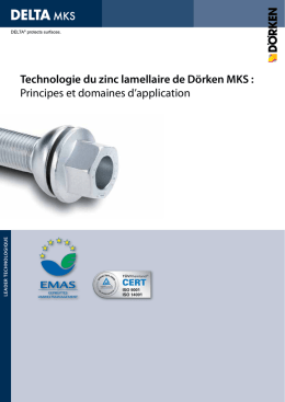 Technologie du zinc lamellaire de Dörken MKS - micro