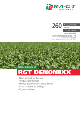 RGT DENOMIXX - RAGT Semences