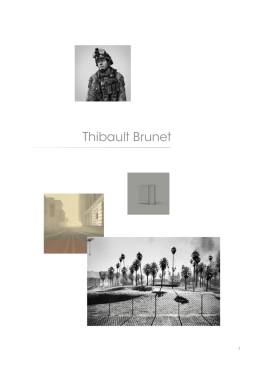 Download PDF - Thibault Brunet
