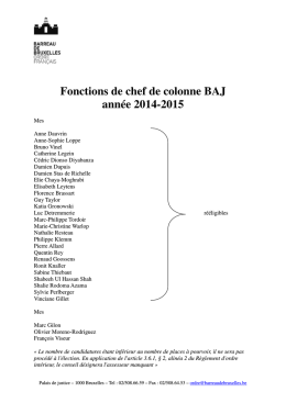 Fonctions de chef de colonne BAJ année 2014-2015