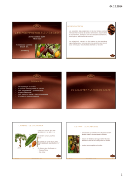 Présentation sur le chocolat (pdf)