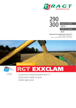 RGT EXXCLAM - RAGT Semences