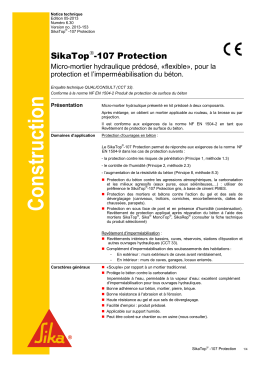 [PDF] SikaTop®-107 Protection