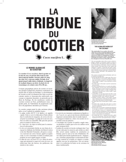 Cocos nucifera L. - Ville de Genève