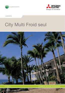 City Multi Froid seul