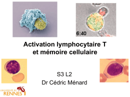 Activation lymphocytaire t et mémoire cellulaire