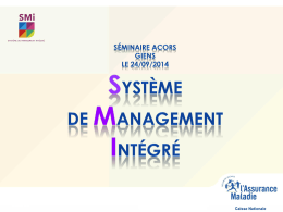 Système de management intégré (au format )