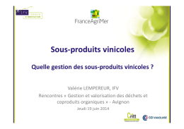La gestion des sous-produits vinicoles, Valérie LEMPEREUR
