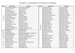 Chiroptères - Correspondance noms français et