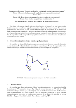 "Symétries brisées en théorie statistique des champs" de Janvier 2014