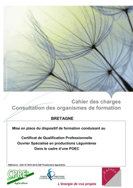 Cahier des charges (764853) ko