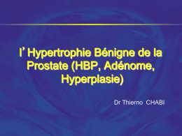 2014-12-02 – M.CHABI -H B Prostate