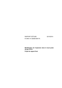 Annexe 22 - Rapport-CPCU-DRA-14-128309