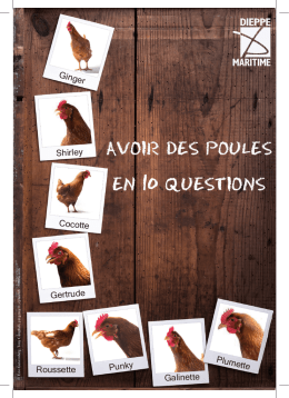 avoir des poules en 10 questions