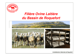 Filiere_Ovine_Laitiere_Roquefort - DRAAF Midi