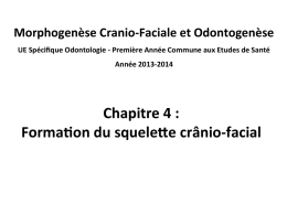 chp 4 - formation du squelette cranio facial