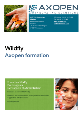 Wildfly - Axopen