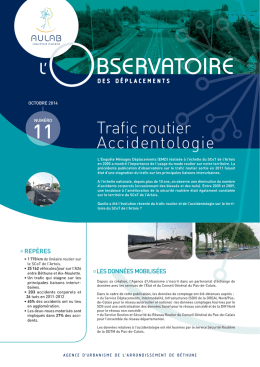 Trafic routier Accidentologie
