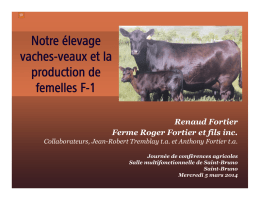 Notre élevage vache-veau et la production de femelles F-1